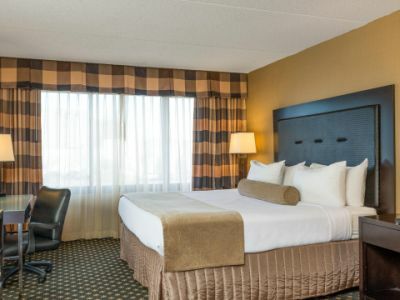 Hotel Crowne Plaza Indianapolis-airport By Ihg Indianapolis