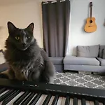 Homestay W Zuku The Cat - 10 Mins From Downtown, 20 From Airport