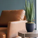 Landing At Riverbend - 1 Bedroom In Castleton