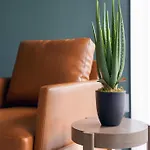 Riverbend Castleton Resort Style Apartments By Barsala