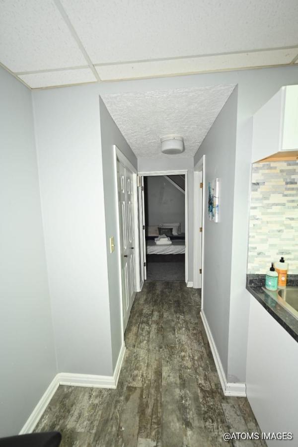 Apartment Downtown Peace