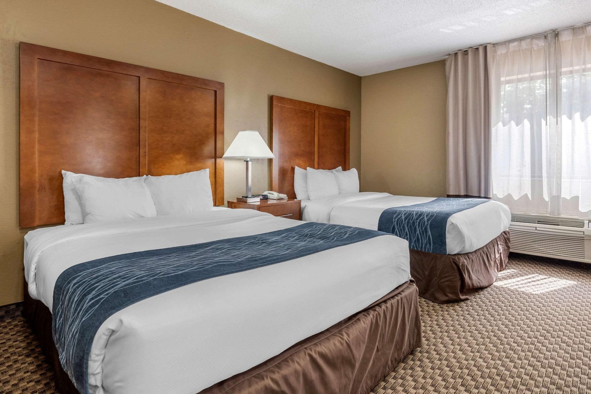 Comfort South