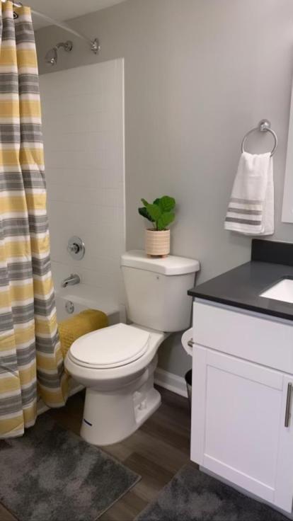 Comfy Castleton Apartment *