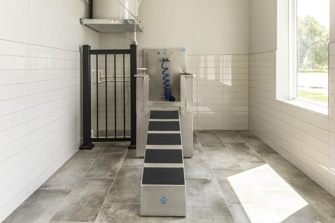 Apartment Modern Dwntwn 1 Bdrm Pool Gym Free Parking *