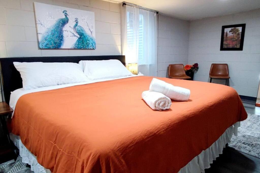 Apartment Spacious Close To Downtown Indy/ King Bed Indianapolis