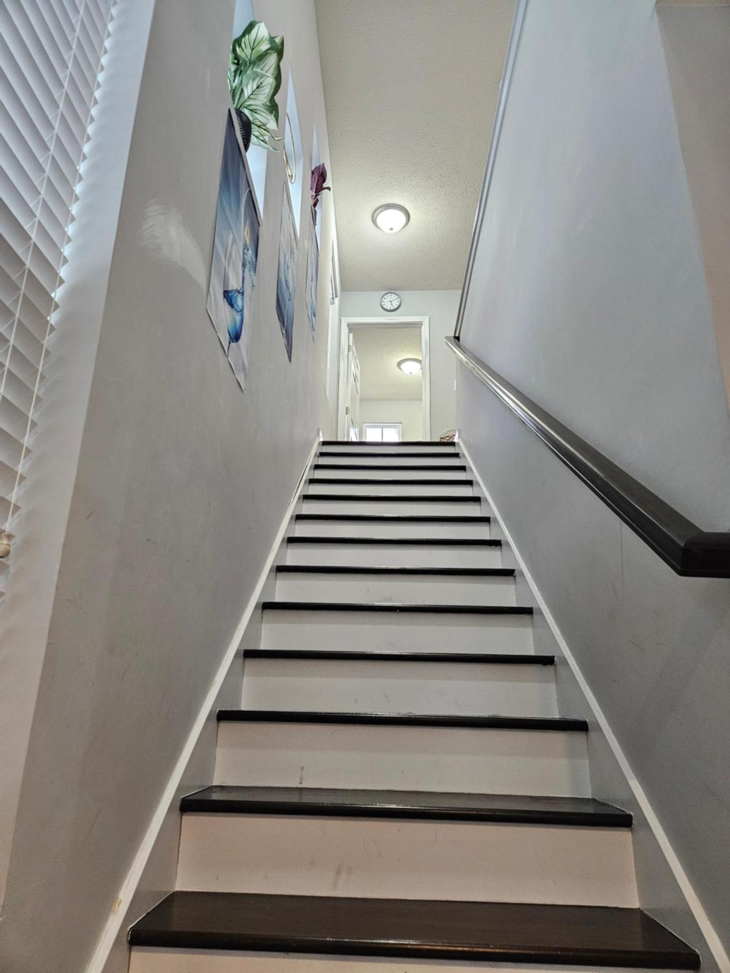 Beautiful Lillies Place - Brand New Near Downtown Holiday home Indianapolis