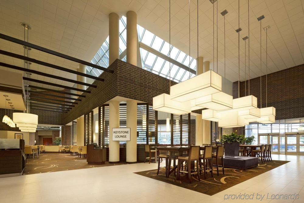 Hilton & Hotel 3*