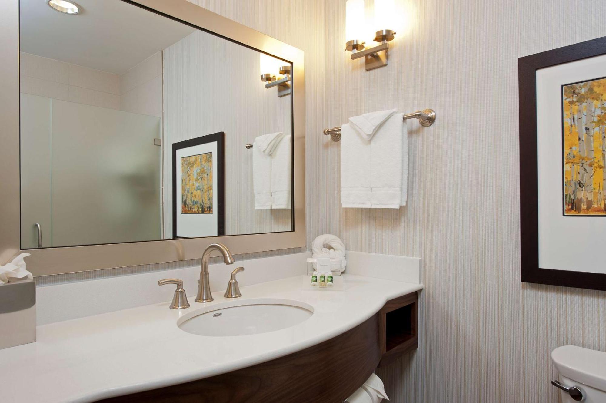 Hilton Garden Downtown 3*