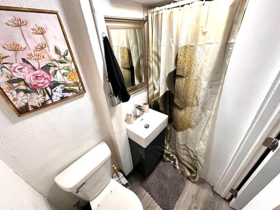 Serene Cityscape Sanctuary Close To Downtown - Unit #5 Apartment