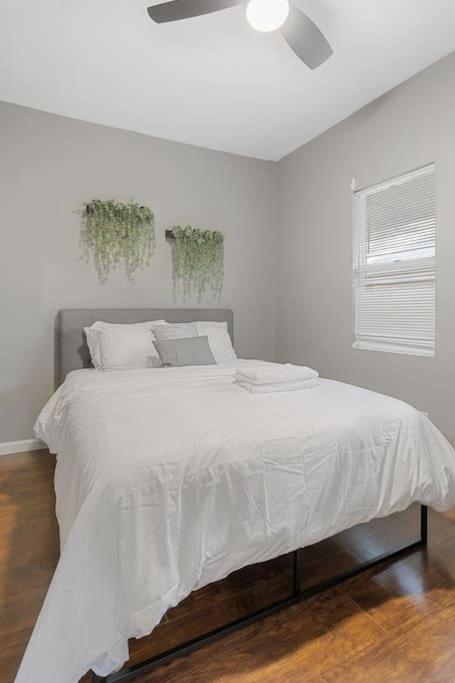 Apartment Convenient - Pet And Baby - Near Convention And Hospital