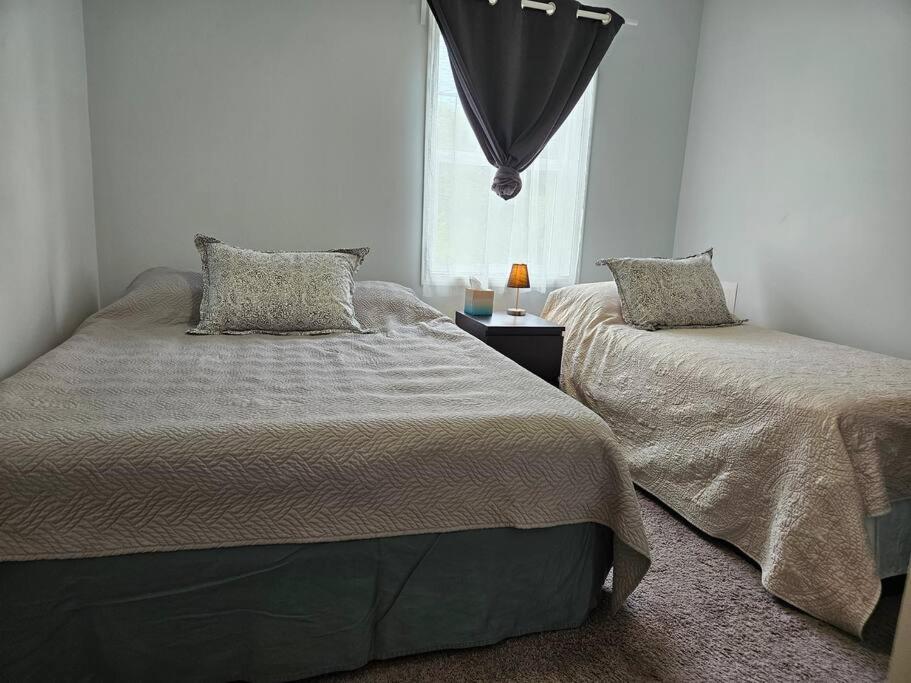 Homestay W Zuku The Cat - 10 Mins From Downtown, 20 From Airport Indianapolis
