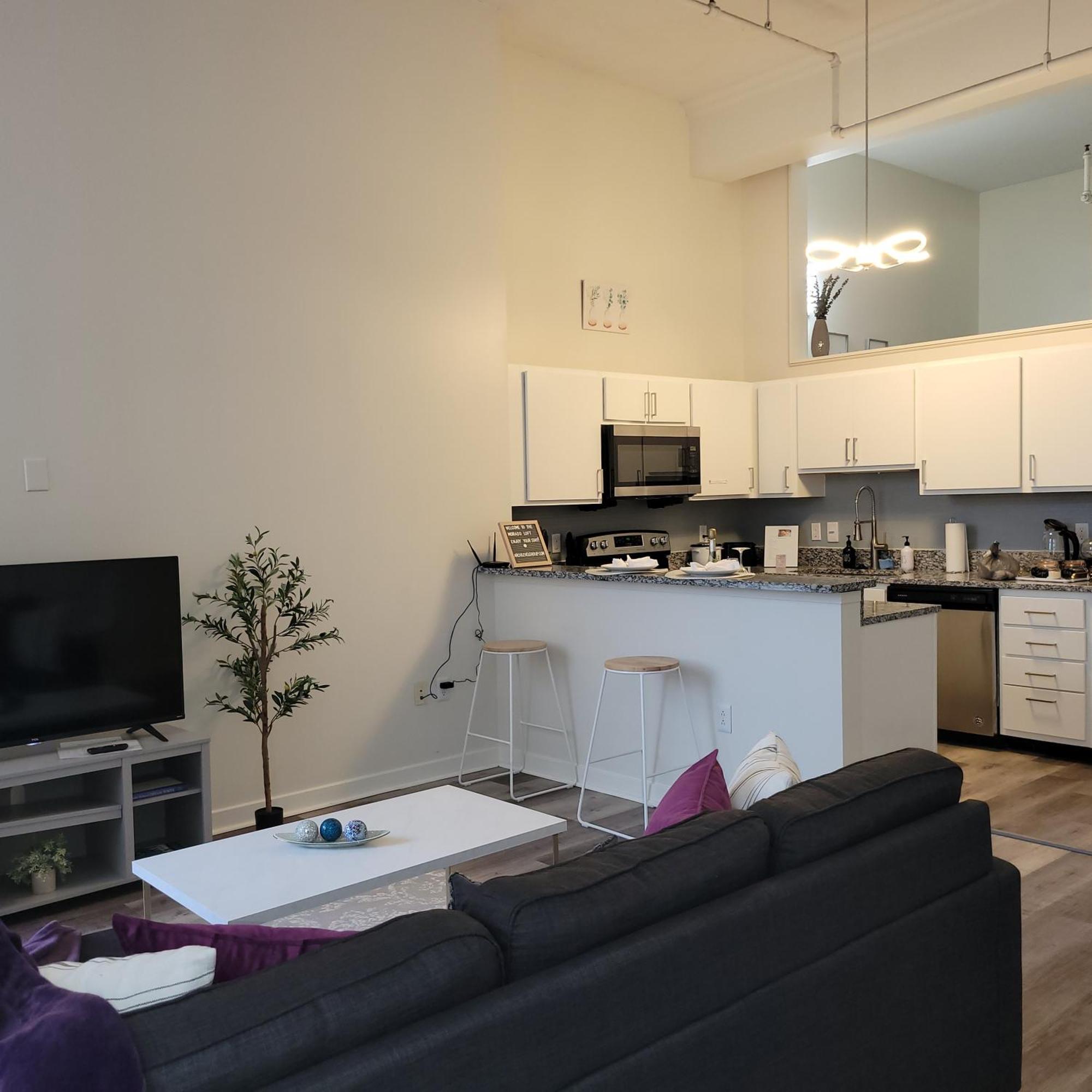 Apartment Free Parking! Downtown Lucas Oil- Conv Center Skywalk#2