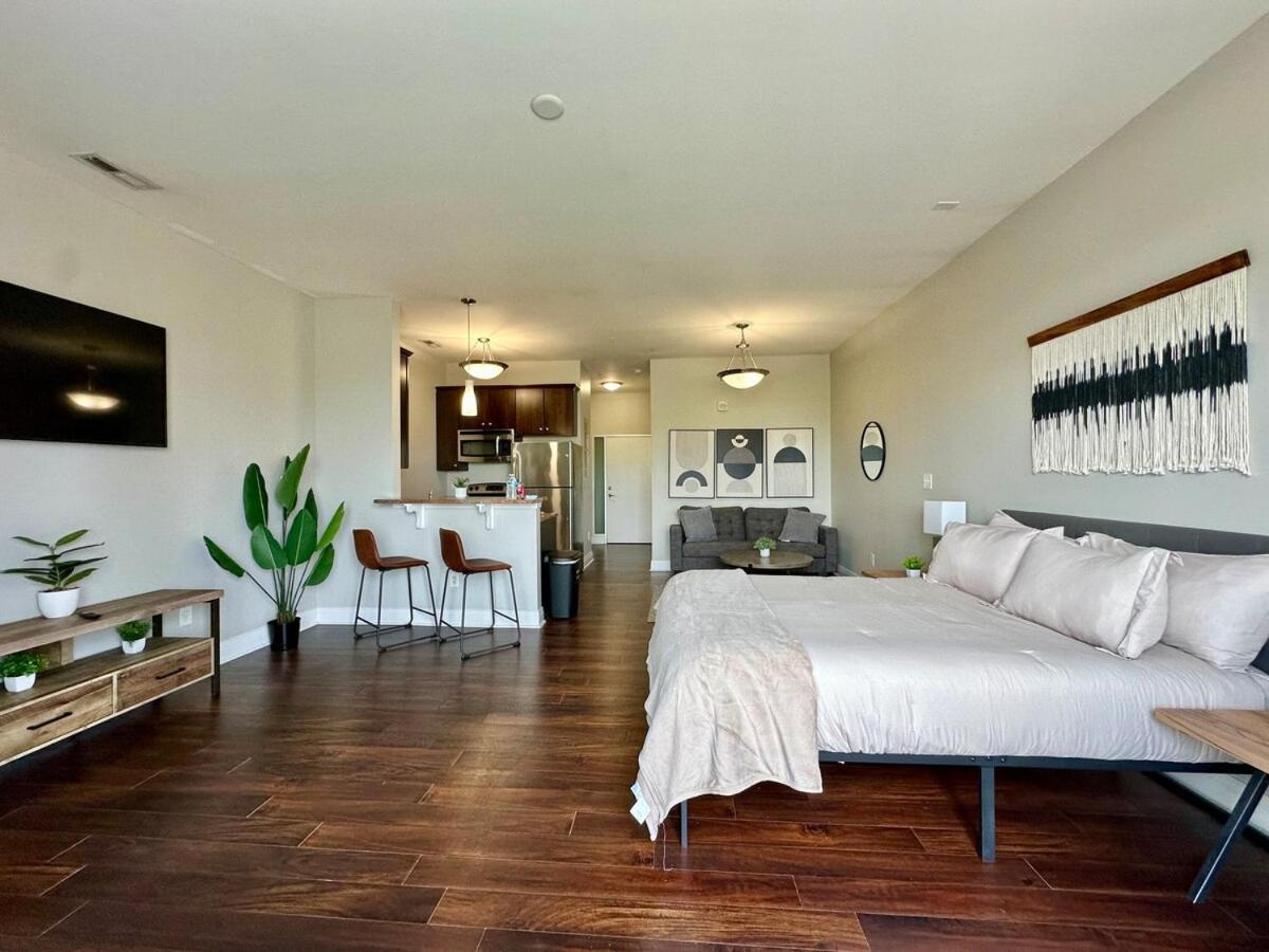 Downtown Penthouse Loft With View