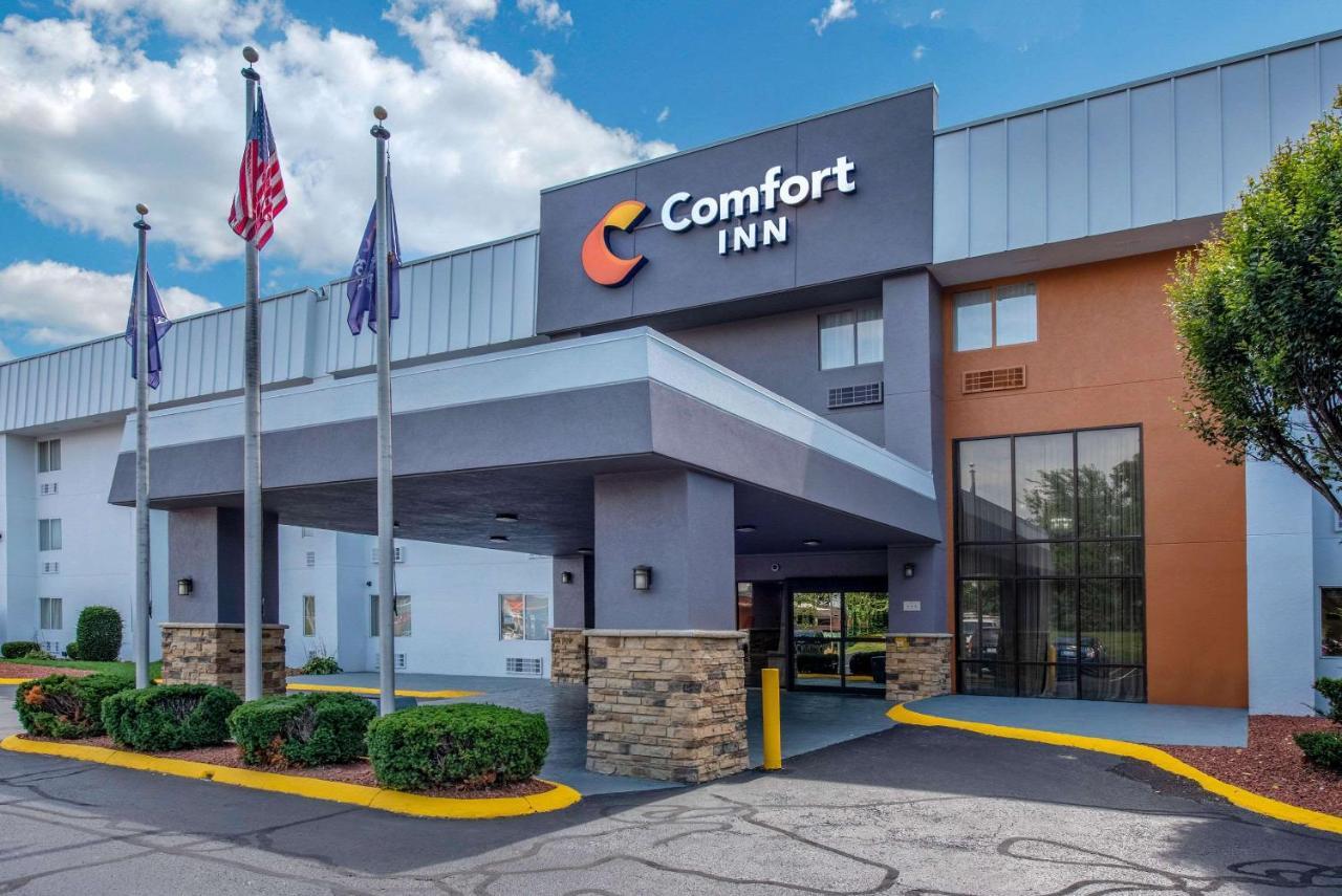 Comfort South 2*