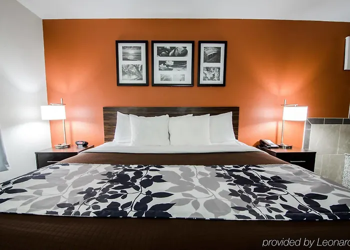 Sleep Inn & Suites And Conference Center Downtown