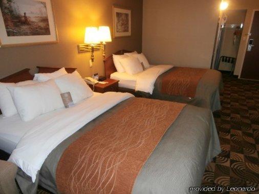 Comfort & North At The Pyramids Hotel Indianapolis
