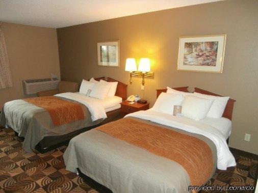 Comfort & North At The Pyramids Hotel