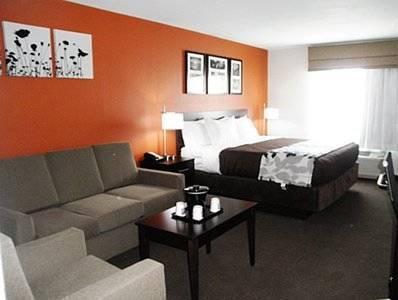 Hotel Sleep & And Conference Center Downtown 3*