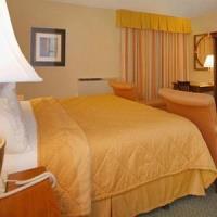 Comfort & North At The Pyramids Hotel