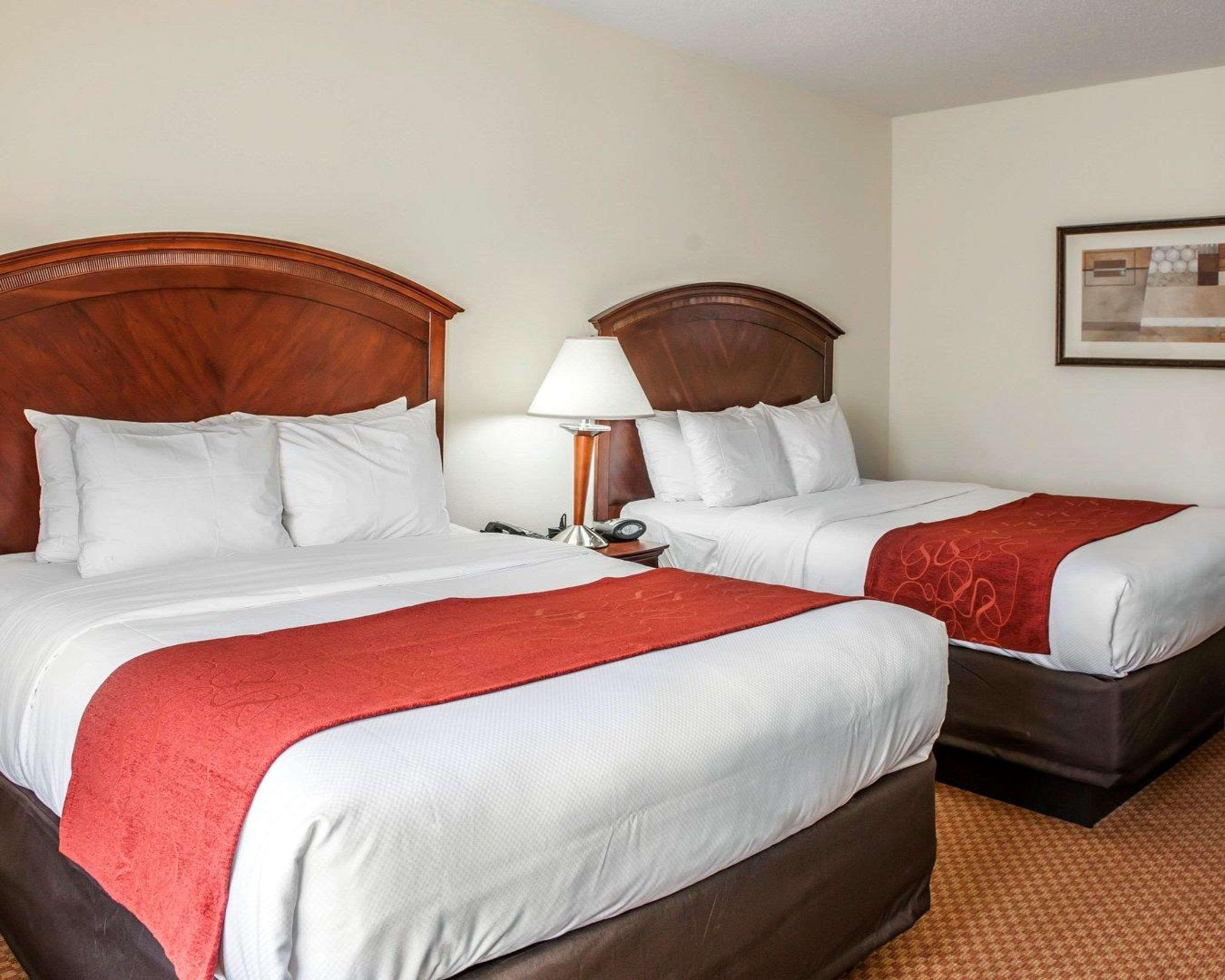 Comfort Near Airport Hotel