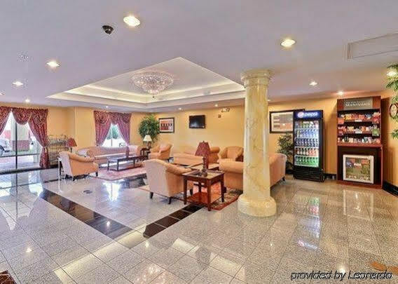 Comfort Near Airport Hotel