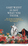 Goat Water Is Not What You Think: The Montserrat Island Life of Two Hoosiers and the Volcano That Ended It